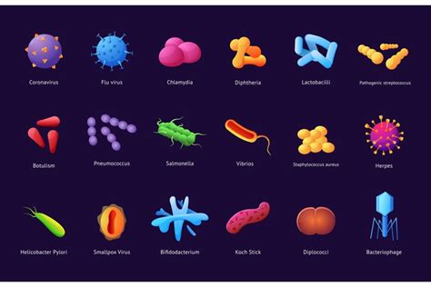 Types of bacteria. Disease pathogen. Virus germs. Zika or st