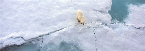 Arctic sea ice reaches maximum extent for 2023 | National Snow and Ice ...