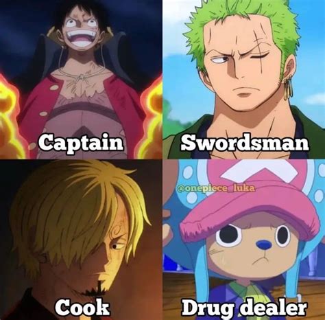 Pin By Moon On Anime Memes One Piece Funny One Piece Crew One Piece