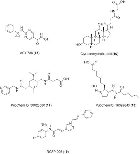 Histone deacetylase inhibitors. | Download Scientific Diagram