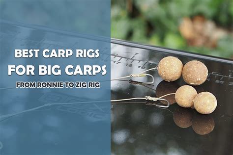 Best Carp Fishing Rigs: Top 11 Carp Rigs Expertly Reviewed - Fishing ...