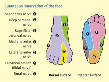 Big Toe On Left Foot Going Numb Flash Sales | emergencydentistry.com