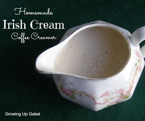 Irish Cream Coffee Creamer recipe | Chefthisup