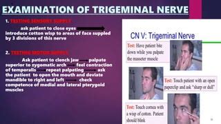 THE TRIGEMINAL NERVE.pptx