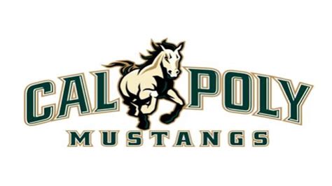 Cal Poly comes up short vs Irvine in ESPNU game | News Channel 3-12