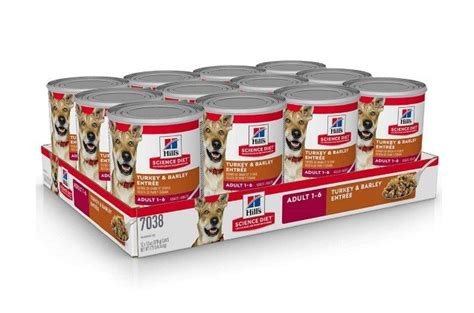 Best Canned Dog Foods | PetGuide