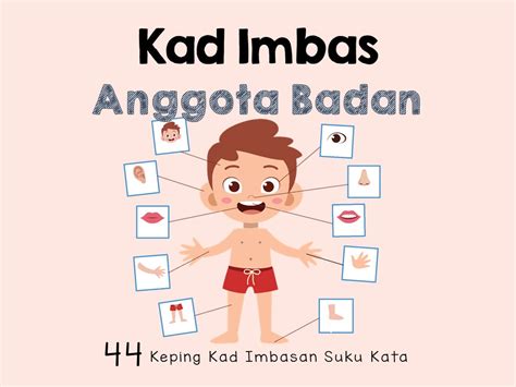 Gambar Anggota Badan Kartun : Nama Bagian Bagian Anggota Tubuh Atau ...