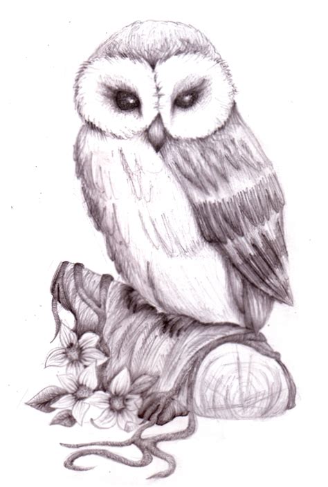 Owl Pencil Sketch by NatzS101 on DeviantArt