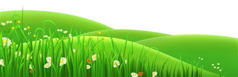 Cartoon Grass Grass Clipart Grass Flower Banner Background Images | The ...