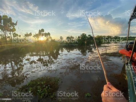 Fishing In The Amazon River Stock Photo - Download Image Now - Amazon ...