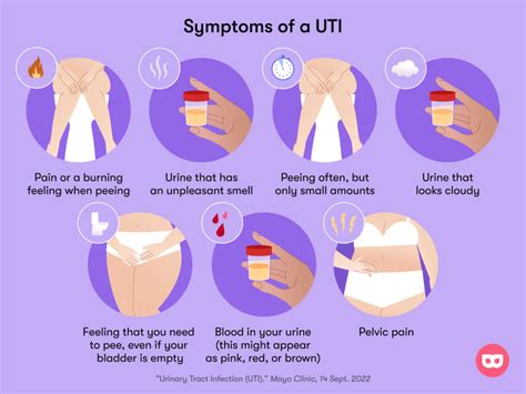 Urinary tract infection (UTI) symptoms & what it feels like - Flo