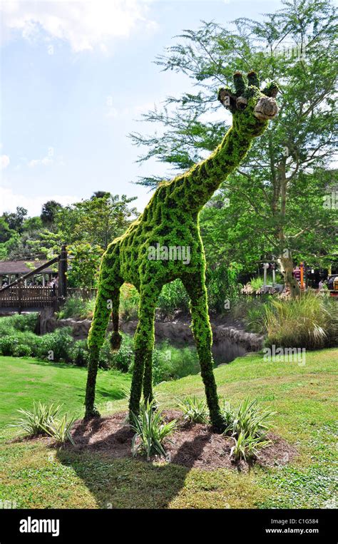 Animal topiary Stock Photo - Alamy