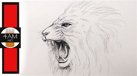 Roaring Lion Pencil Drawing