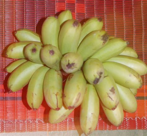 Suria Helang Lui: Bananas - Pisang Emas