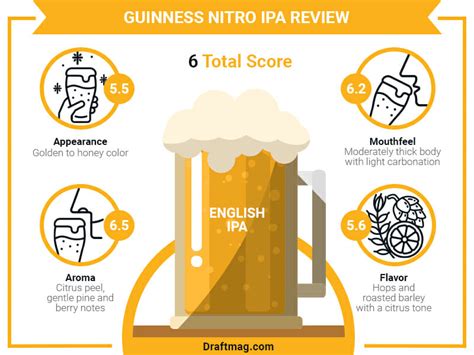 Guinness Nitro IPA Review: A Detailed Guide to This Guinness Delight