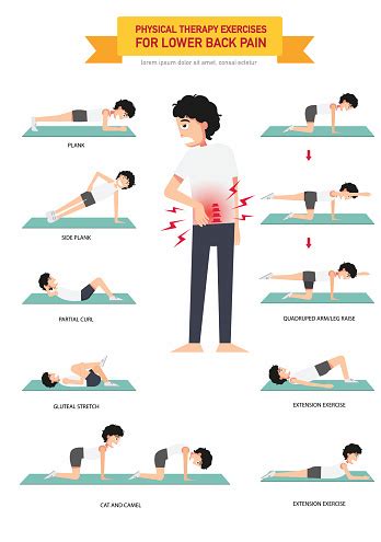 Physical Therapy Exercises For Lower Back Pain Infographic Stock ...