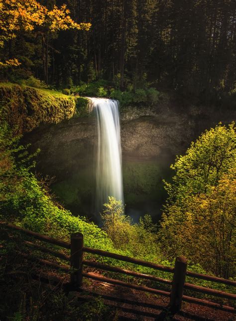 10 Hiking Trails In Oregon That Are Perfect For Beginners