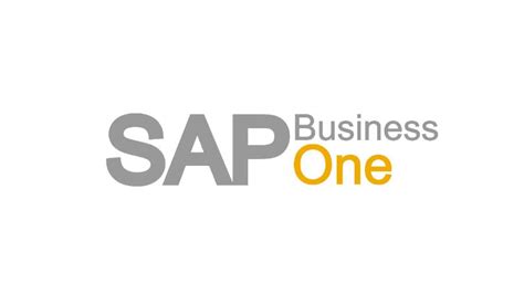 Sap business one for dummies - loxaperu