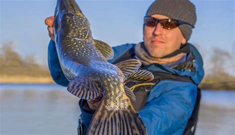 10 Best Muskie Lures In 2023 | Reviewed by Fishing Enthusiasts - Globo Surf