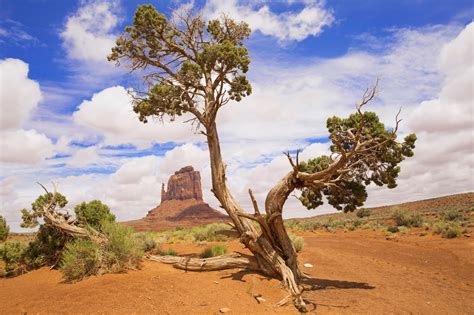 Slog Alpinismo: Monument Valley Navajo Tribal Park