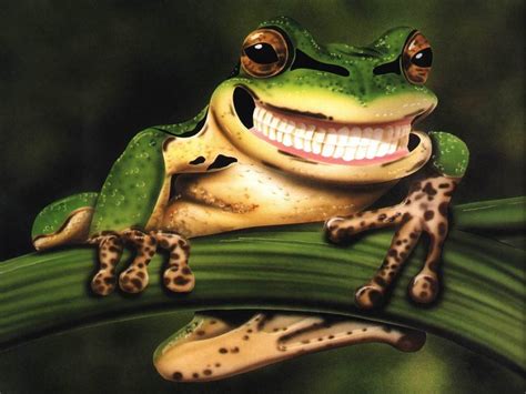 🔥 [80+] Funny Frog Wallpapers | WallpaperSafari