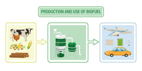 Biofuel Production Infographics 24853749 Vector Art at Vecteezy