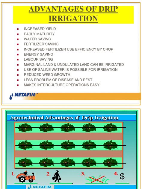 Drip Irrigation Benefits | Irrigation | Crop Yield