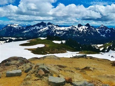 7 Best Mount Rainier Hiking Trails for Easy to Moderate Adventures