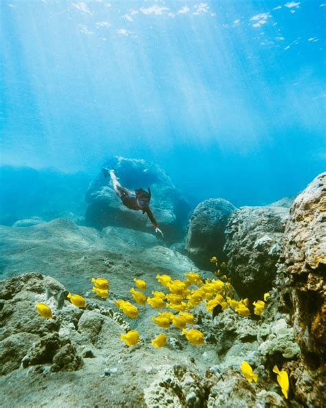 Book Snorkel Tours to Kealakekua | Fair Wind Cruises