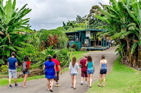 Kona Coffee Tours and Tastings: Coffee Farms on the Big Island (list)