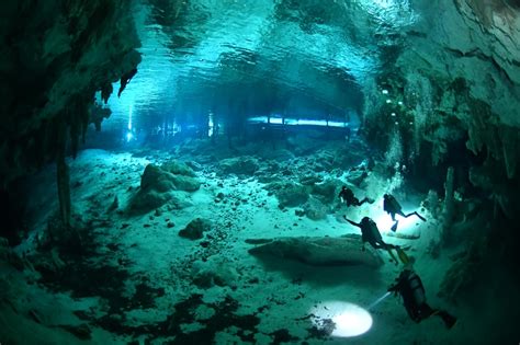 Cenote Dos Ojos dive site | PADI