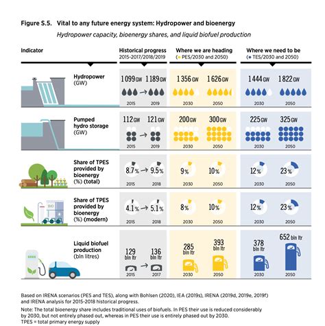 Bioenergy is the main source of energy to achieve climate neutrality by ...