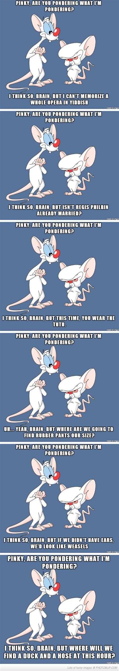 Pinky And The Brain Funny Quotes - ShortQuotes.cc