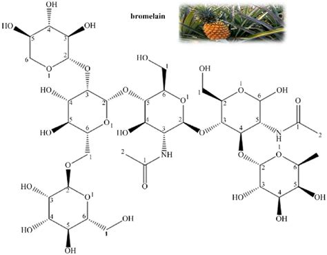 Chemical structure of bromelain. | Download Scientific Diagram