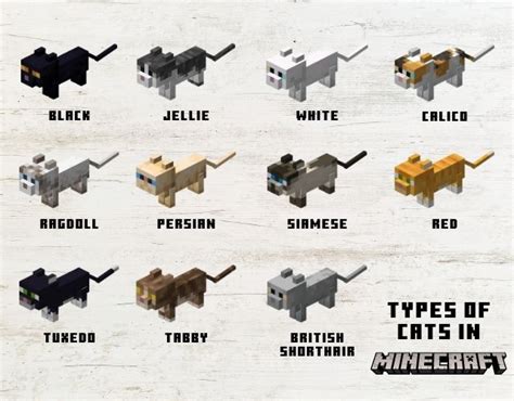 All Minecraft Cat Breeds