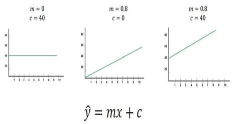 What is Linear Regression? | Types of Linear Regression