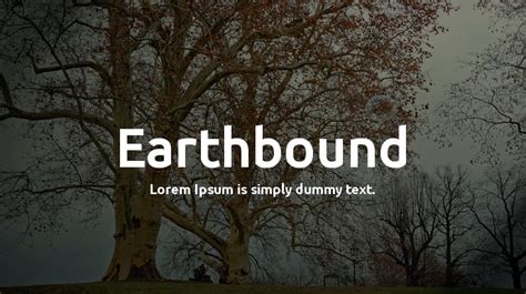 Earthbound Font Family : Download Free for Desktop & Webfont