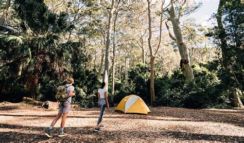 Depot Beach campground | NSW National Parks