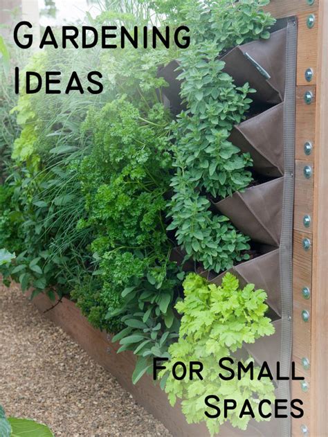 Gardening Ideas for a Small Space - Sunlit Spaces