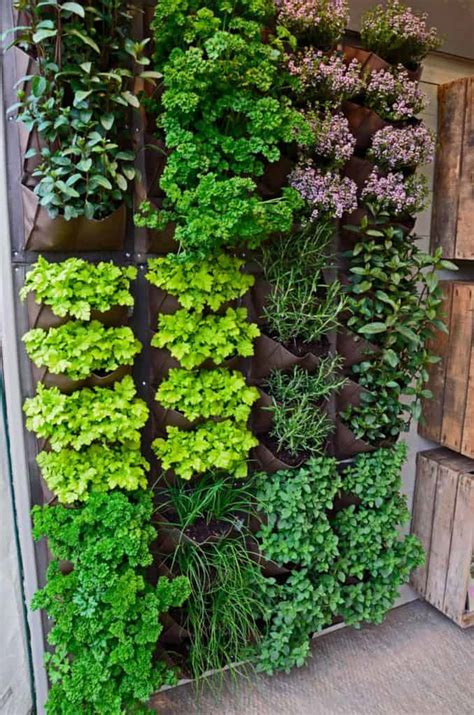 The Top 85 Vertical Garden Ideas