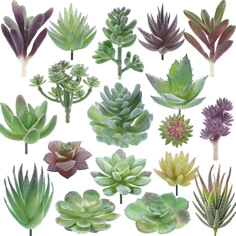 Buy Artificial Succulent s - 18 Pack - Premium Fake s - Double Flocked ...