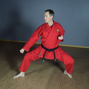 How to Do Basic Karate Stances: Front, Back, Horse & Cat Pro Tips