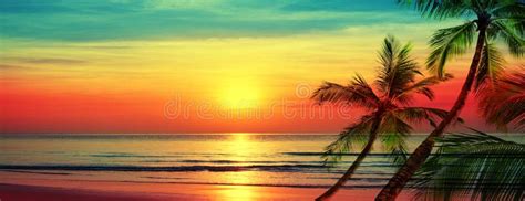 Beautiful Sunset Beach Landscape, Exotic Tropical Island Nature, Blue ...