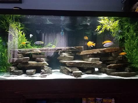 My newly re-scapped african cichlid tank : Aquariums