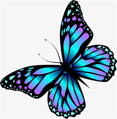 Butterfly Drawings With Color Easy A Butterfly Has Colorful Wings And