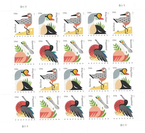 Buy Coastal Birds Sheet of 20 Postcard Forever U.S. Postage Stamps by ...