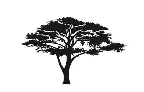 13,739 BEST African Tree Silhouette IMAGES, STOCK PHOTOS & VECTORS ...