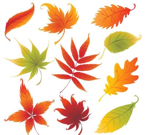 Autumn Leaves Graphics - ClipArt Best