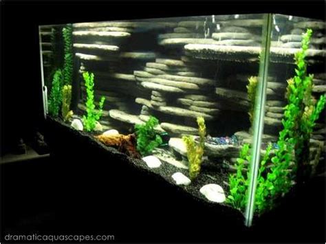 9 DIY Aquarium Backgrounds You Can Start Today - Learn How