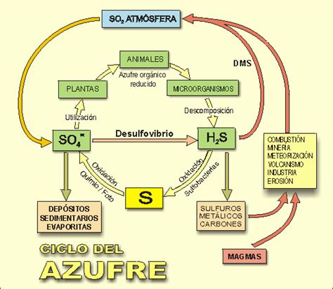 ciclo-azufre-lenntech